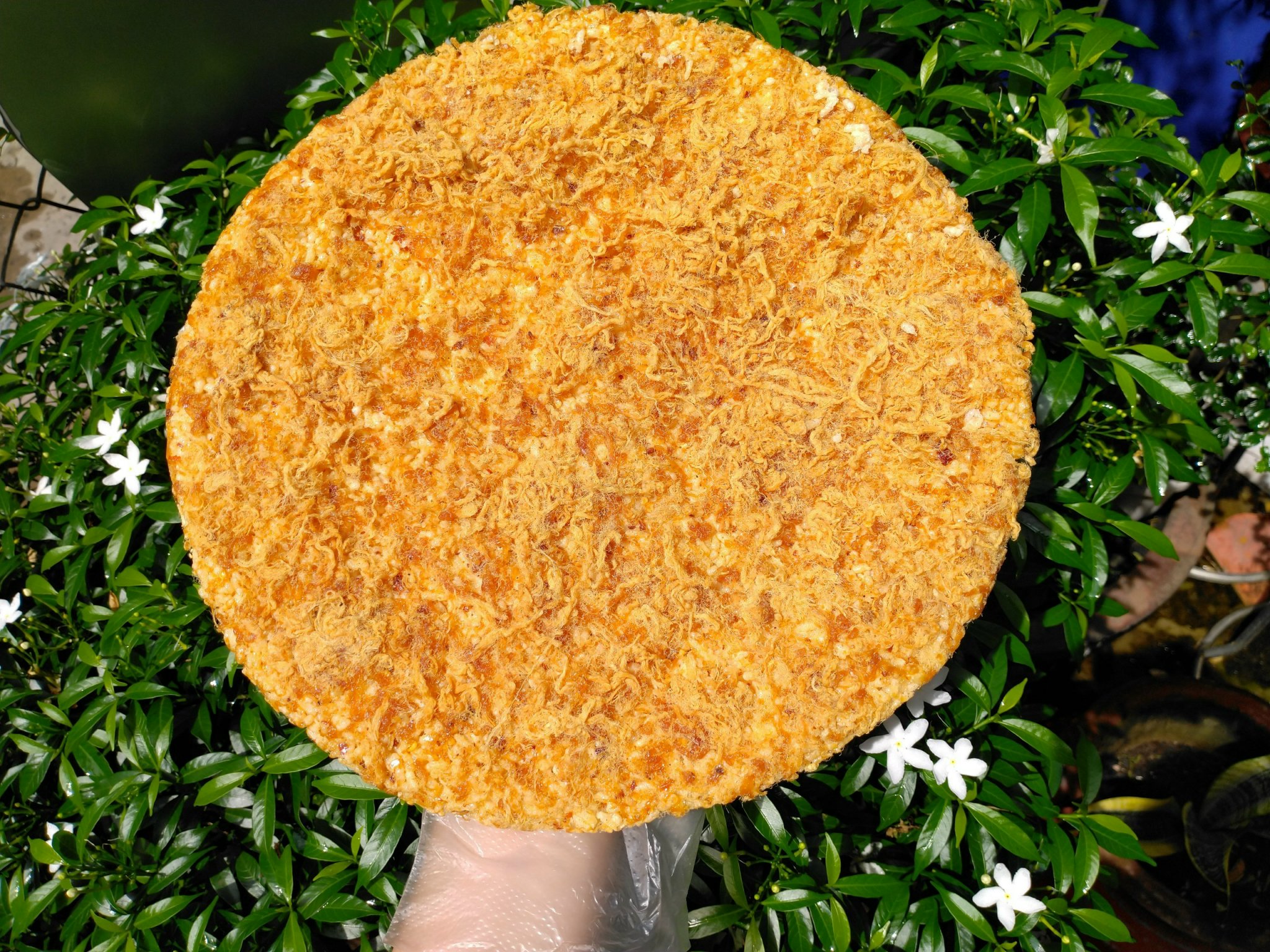 Cơm cháy đáy nồi chà bông 500g