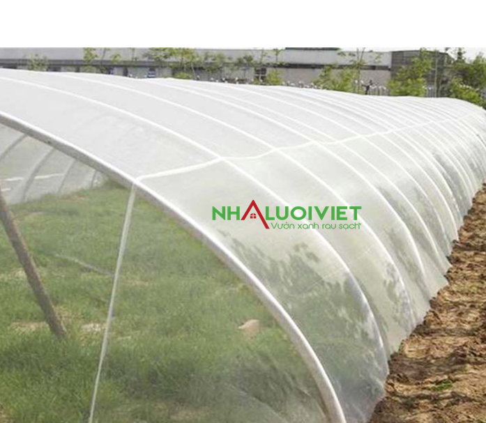 Lưới chắn côn trùng 32mesh - Công nghệ Thái ( cuộn 2m x 50m)