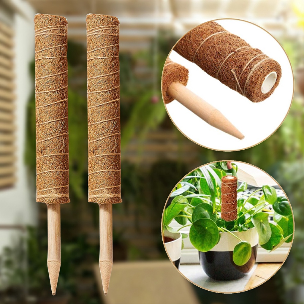 Trụ cột xơ dừa cho cây leo bám cột 30/40/50cm -Aeneas Shop