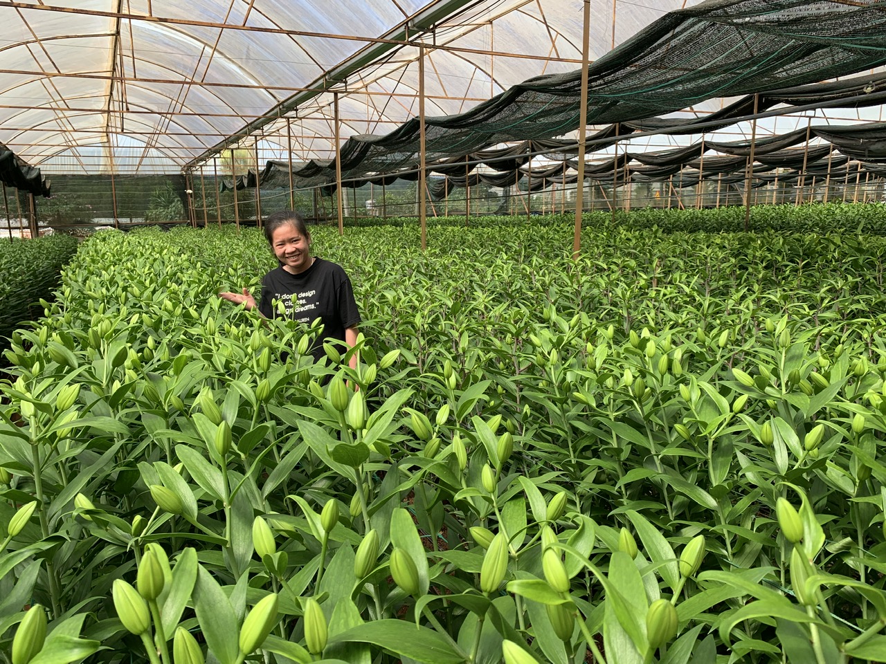 Mekong Grow-PHÁT RỄ-ĐI ĐỌT CỰC MẠNH