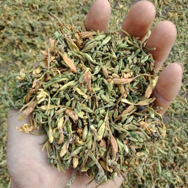 hoa đu đủ đực phơi khô