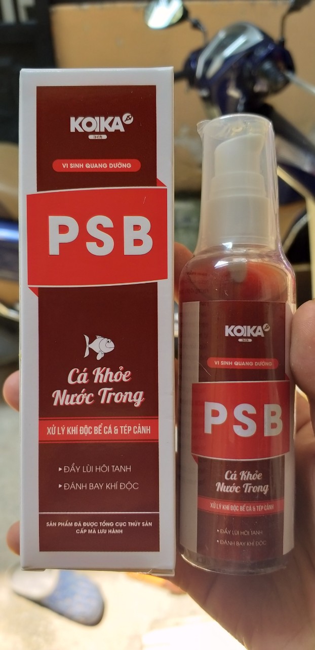 [HCM]Vi sinh tiêu hóa KOIKA BAC + cho cá cảnh chai 105ml