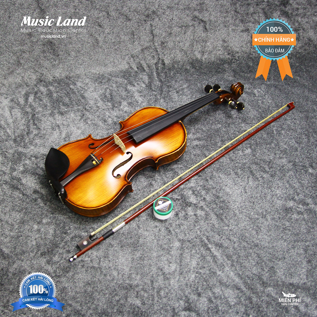 Đàn Violin Amati VM118 – Chính Hãng