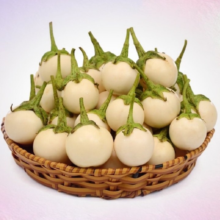 Hạt giống Cà pháo trắng gói 0.5gr