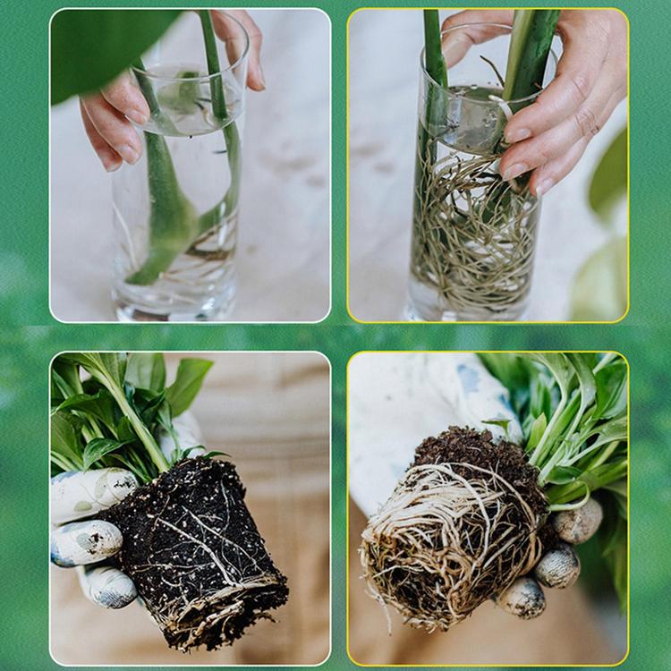 Root Stimulator for Plants Fast Growth Tree Root Stimulator 500ml Concentrated Liquid Houseplant Propagation Promoter Plant Rooting Solution for Flowers Fruits Vegetables positive