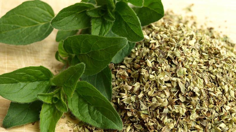 Lá Thơm Oregano (Hương Vị Cho Món Pizza)