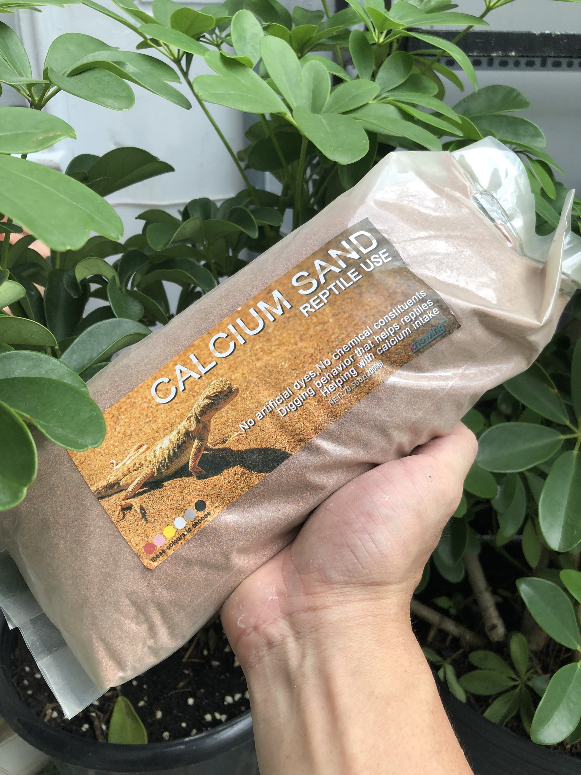 Cát sa mạc dành cho bò sát túi 2kg