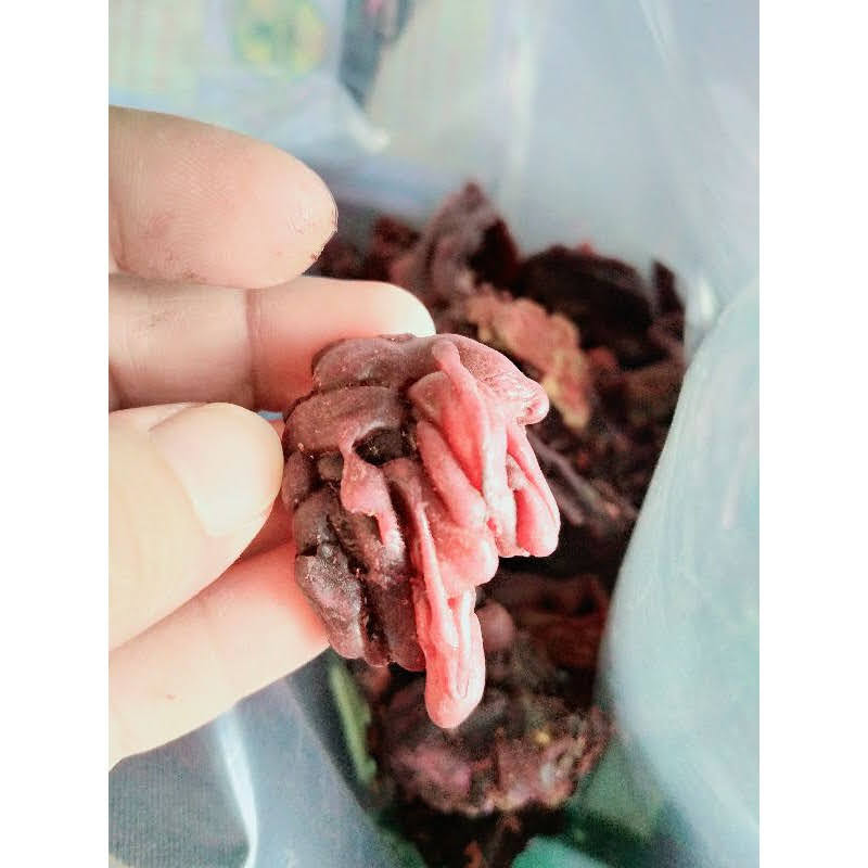 [Loại Ngon]Mủ Gòn 500g - Mủ gòn đỏ sấy khô
