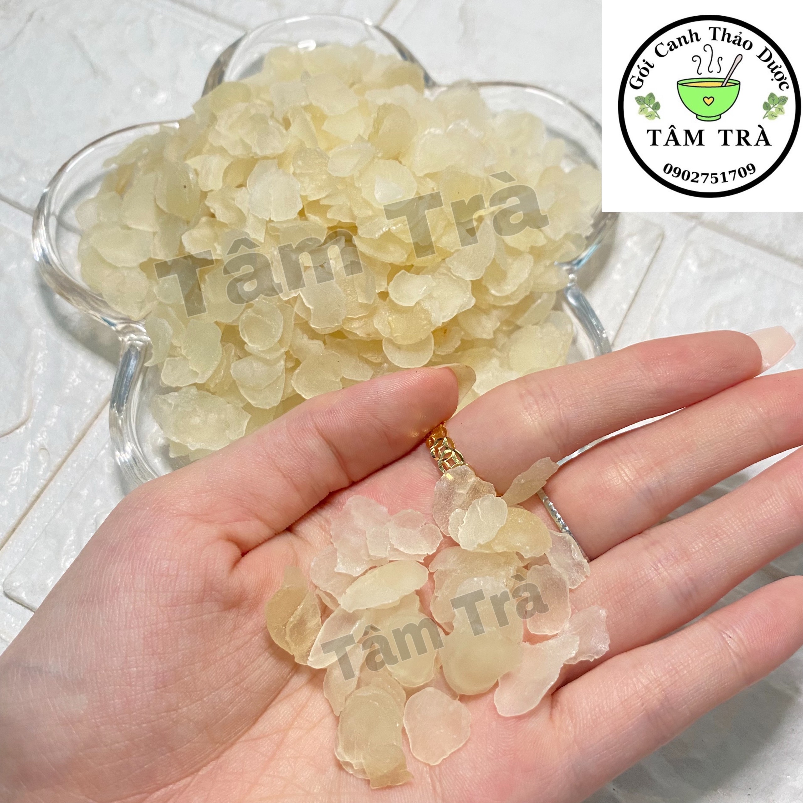 Tuyết liên tử ( bồ mễ) Vân Nam Thượng Hạng
