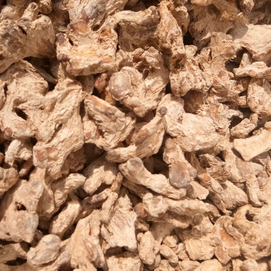Gừng khô ( Can Khương ) 100 gram. Khang Chính Đường .