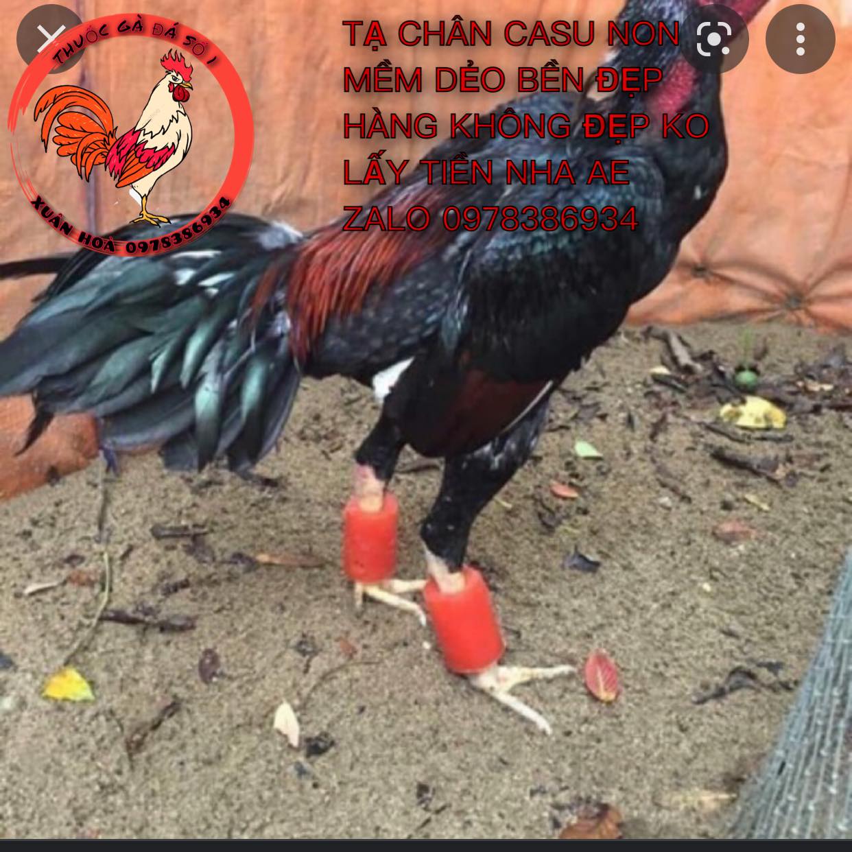 Tạ chân tập lực cho gà đá