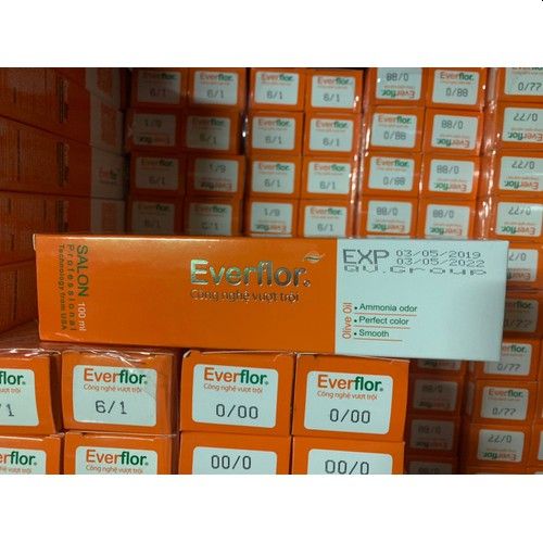 [HCM]Set 10 Thuốc Nhuộm Tóc Everflor 100ML