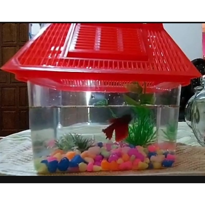 ARMADA / NIKITA / IKI PET HOME 01 Aquarium ikan kecil kura kura