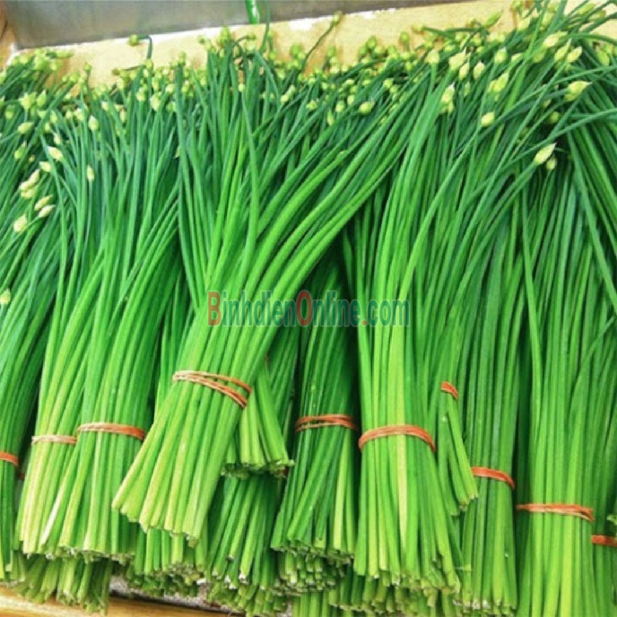 Hạt giống hẹ ăn bông - gói 1 gram