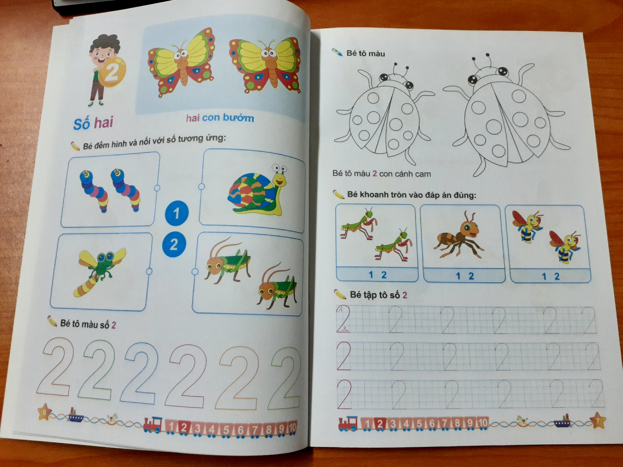 Bộ Phát Triển IQ Cho Bé 4 Đến 5 Tuổi ( Bộ 8 Cuốn)
