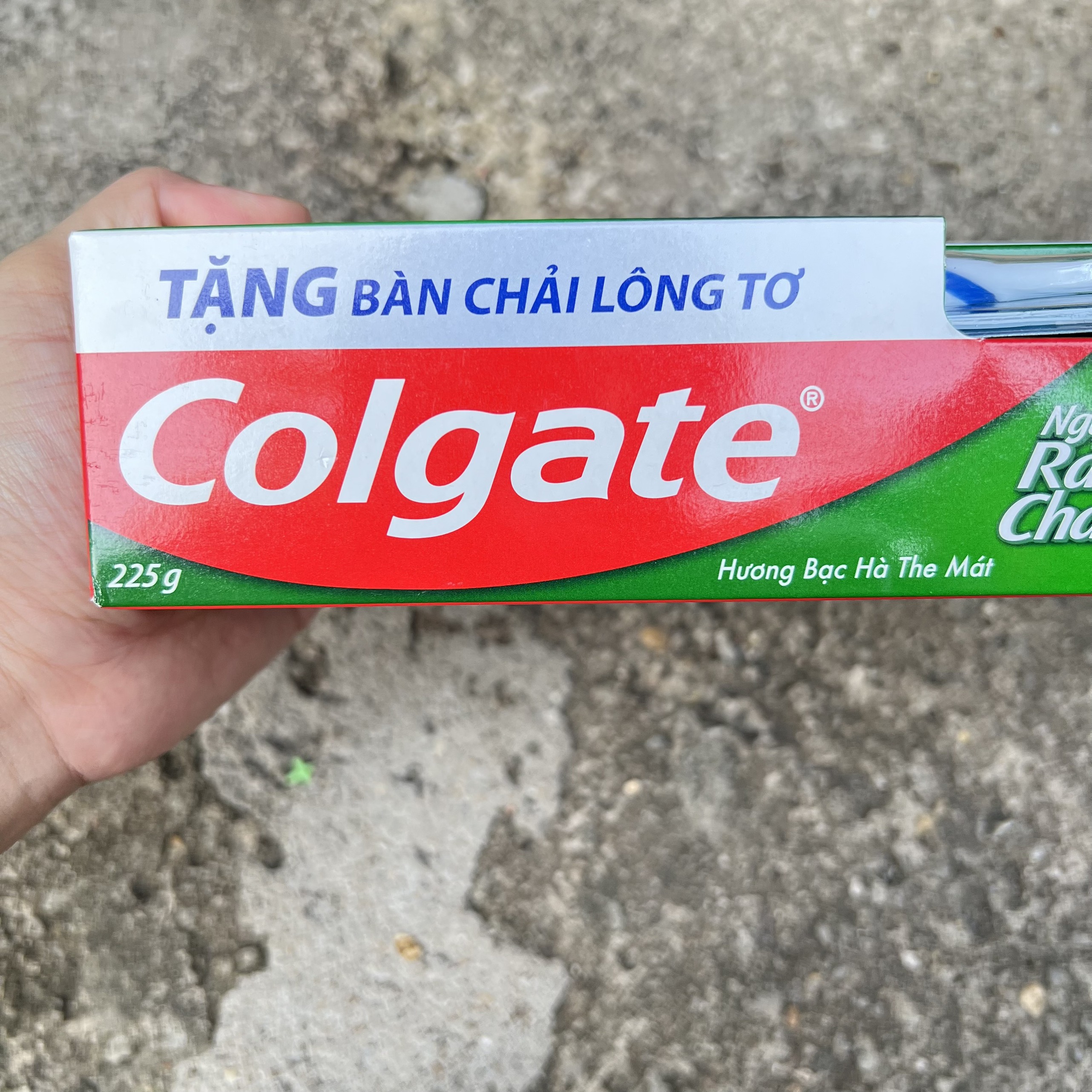 Kem đánh răng Colgate 225g/230g (tặng bàn chải đánh răng lông tơ)