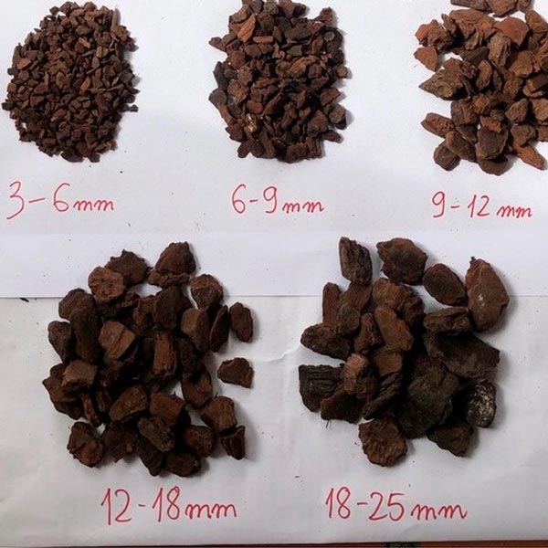 [hcm] 1 gói VỎ THÔNG MỸ size 1-2cm