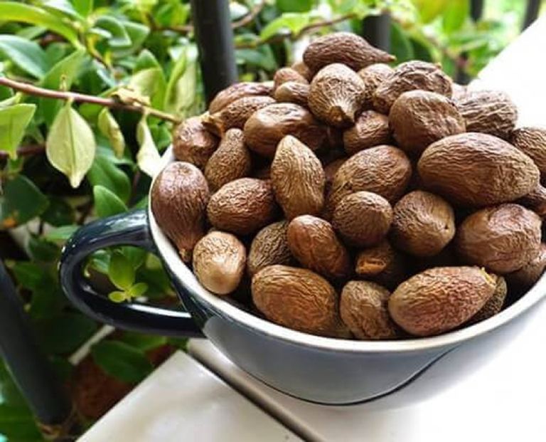 500g Hạt Đười Ươi Phan Rang Siêu Ngon-đồ ăn vặt