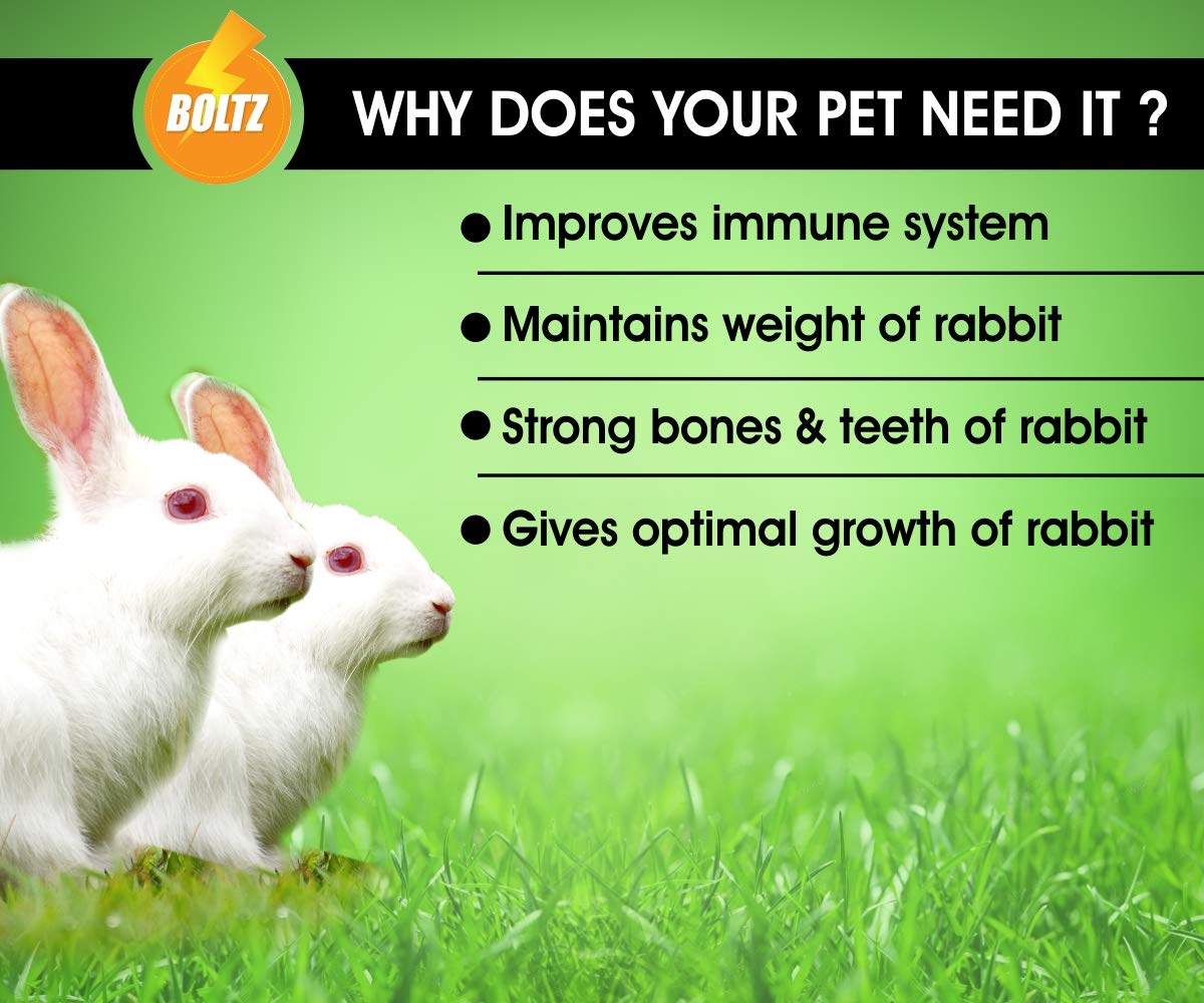 Boltz%20Premium%20Adult%20Rabbit%20Food,%20Nutritionist%20Choice%20(Rabbit%20Food%201KG)%20pack%20-%20Image%202