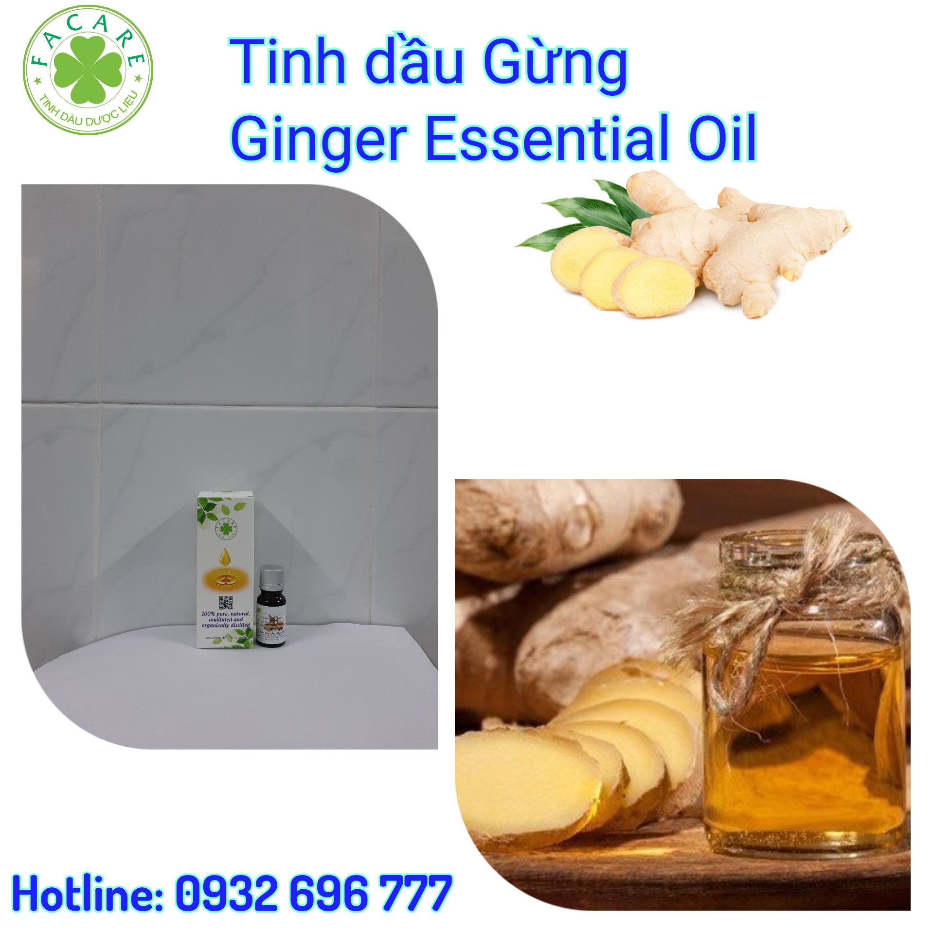 Tinh dầu Gừng Ginger essential oil - 10ml