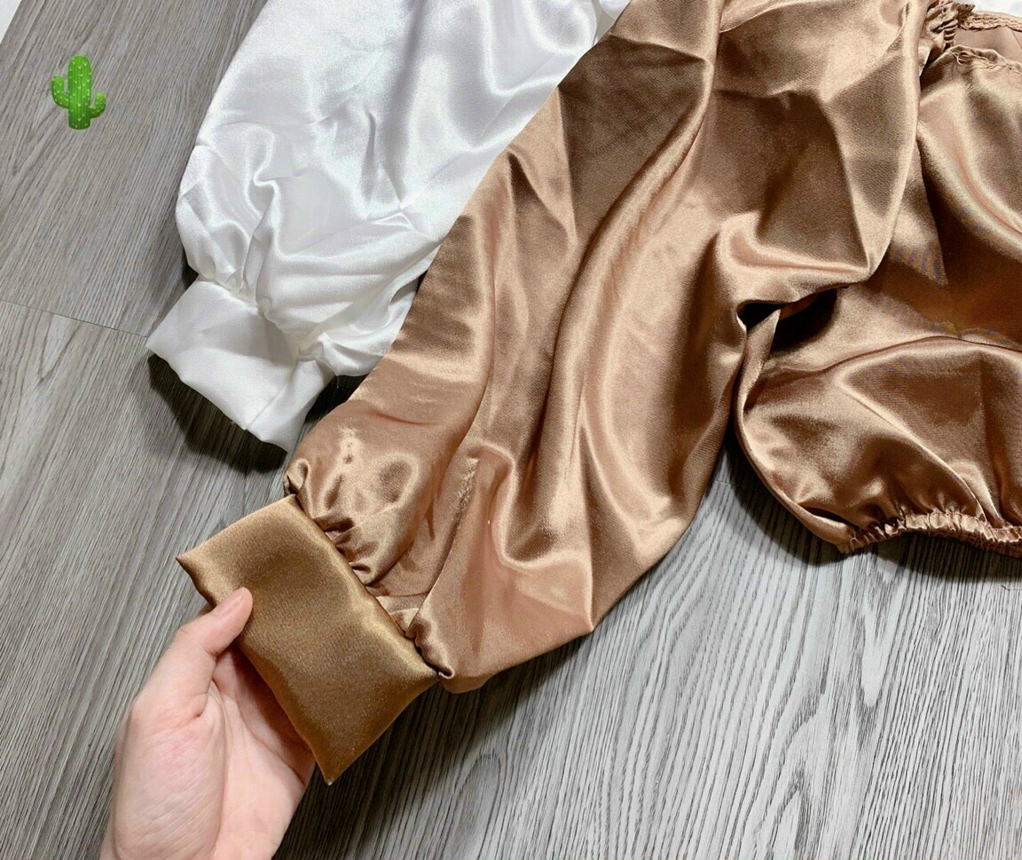 Áo Kiểu tay Phồng