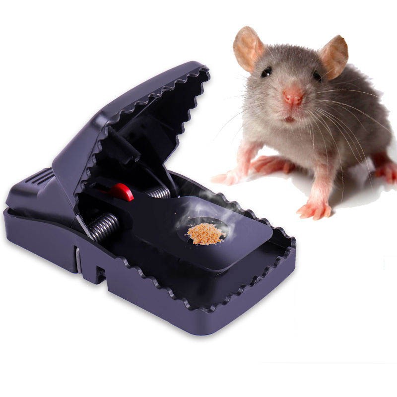 10PCS Reusable Rat Catching Mice Mouse Mousetrap Spring Rodent Trap-Easy Catcher 