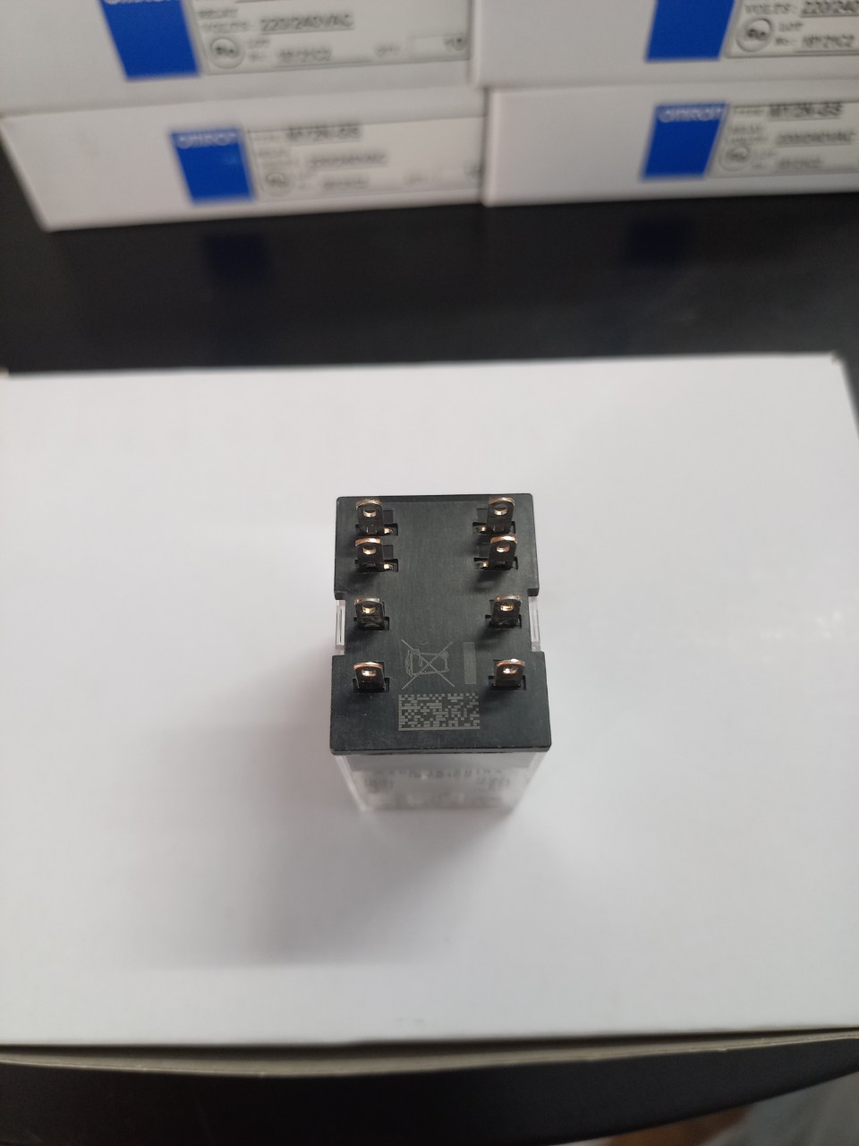 Rơ le MY2N-GS AC220/240
