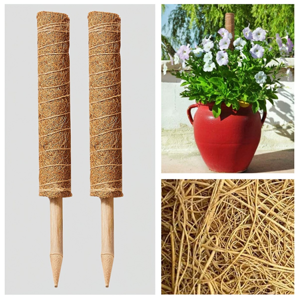 Trụ cột xơ dừa cho cây leo bám cột 30/40/50cm -Aeneas Shop