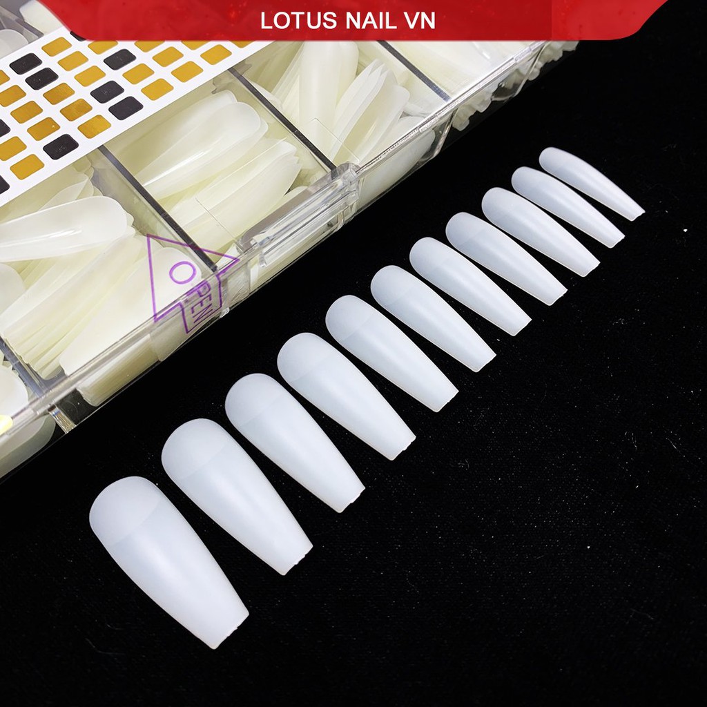 Móng úp HSM thang nhám sẵn chuẩn phom- Cheap nail