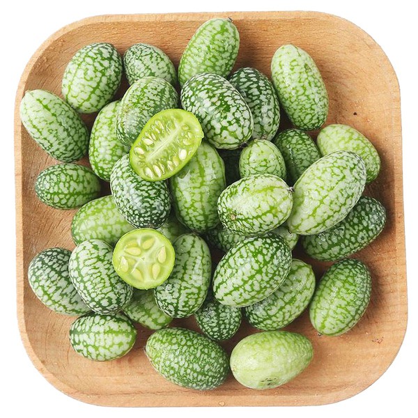 Hạt giống dưa hấu mini, dưa chuột mexico gói 5 hạt