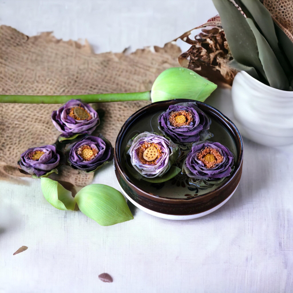 Trà hoa sen nguyên bông sấy lạnh combo 10 bông