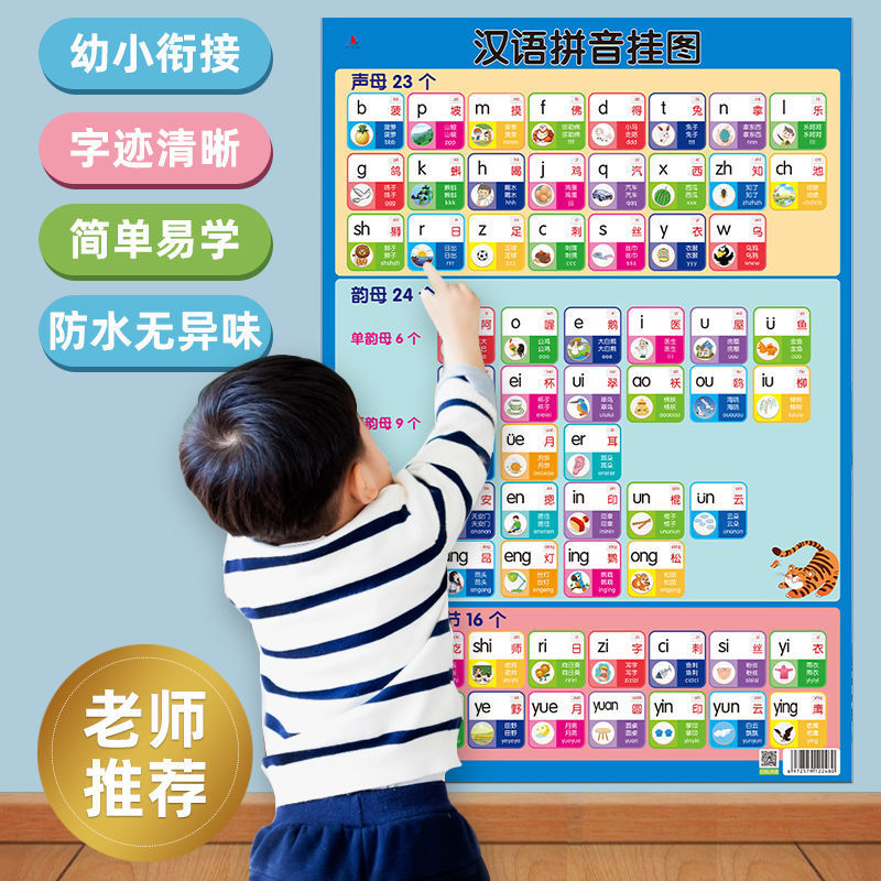 Chinese Pinyin Alphabet Wall Sticker Primary School First Grade Initial ...
