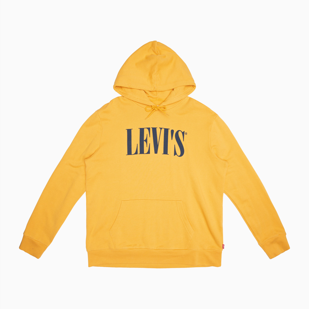 graphic pullover hoodie levis