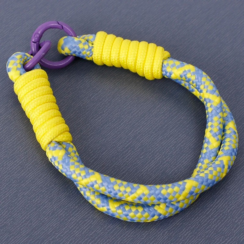 Universal Phone Anti-lost Lanyard INS Colorful Braided Rope Mobile Phone Case Strap Pendant Portable Hand-held Short Wrist Strap