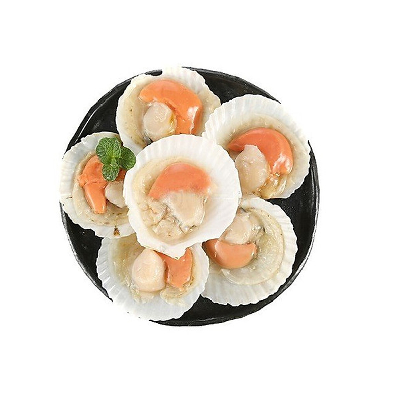 Sò Điệp Nửa Mảnh 500gr