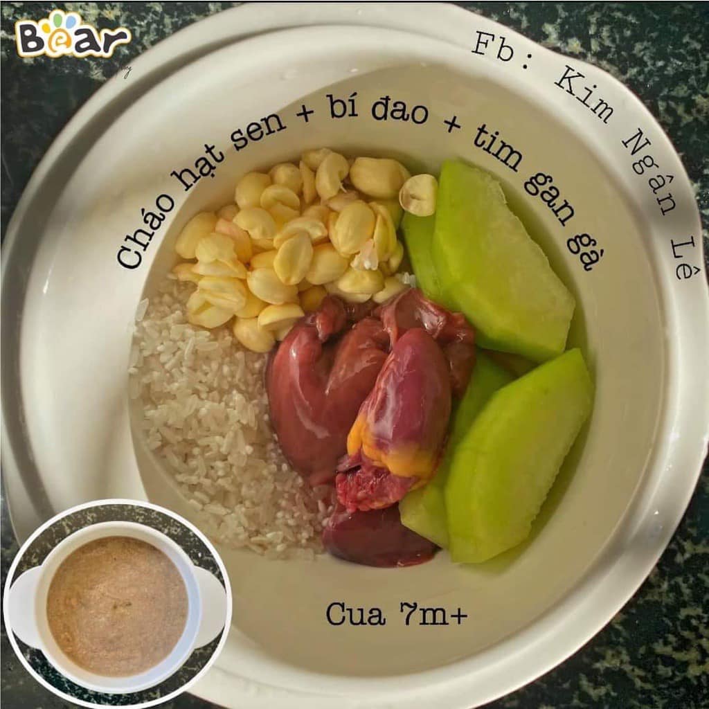 Nồi nấu cháo chậm, cách thủy và ninh hầm Bear 0,8L