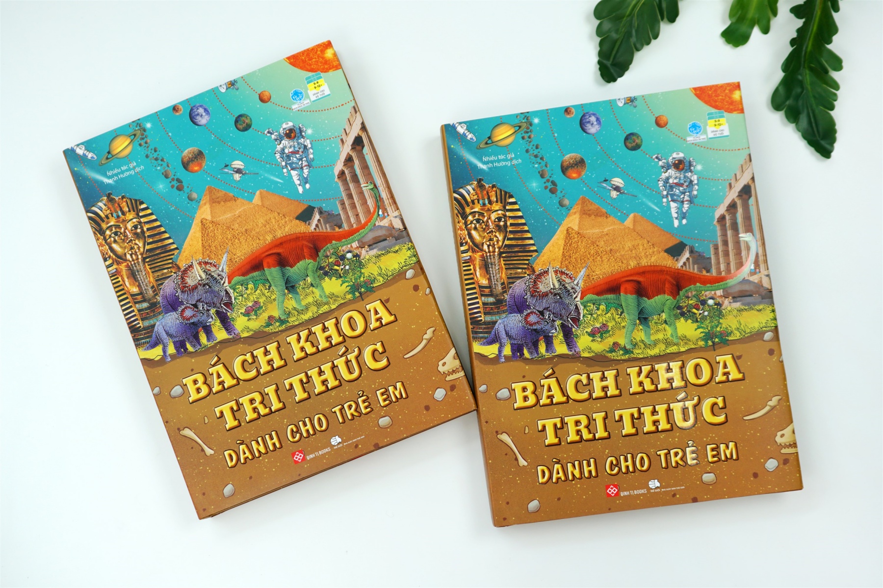 [NHẬP MÃ LAZSOCIAL50K]  Sách Thiếu Nhi – Bách Khoa Tri Thức Dành Cho Trẻ Em – Đinh Tị