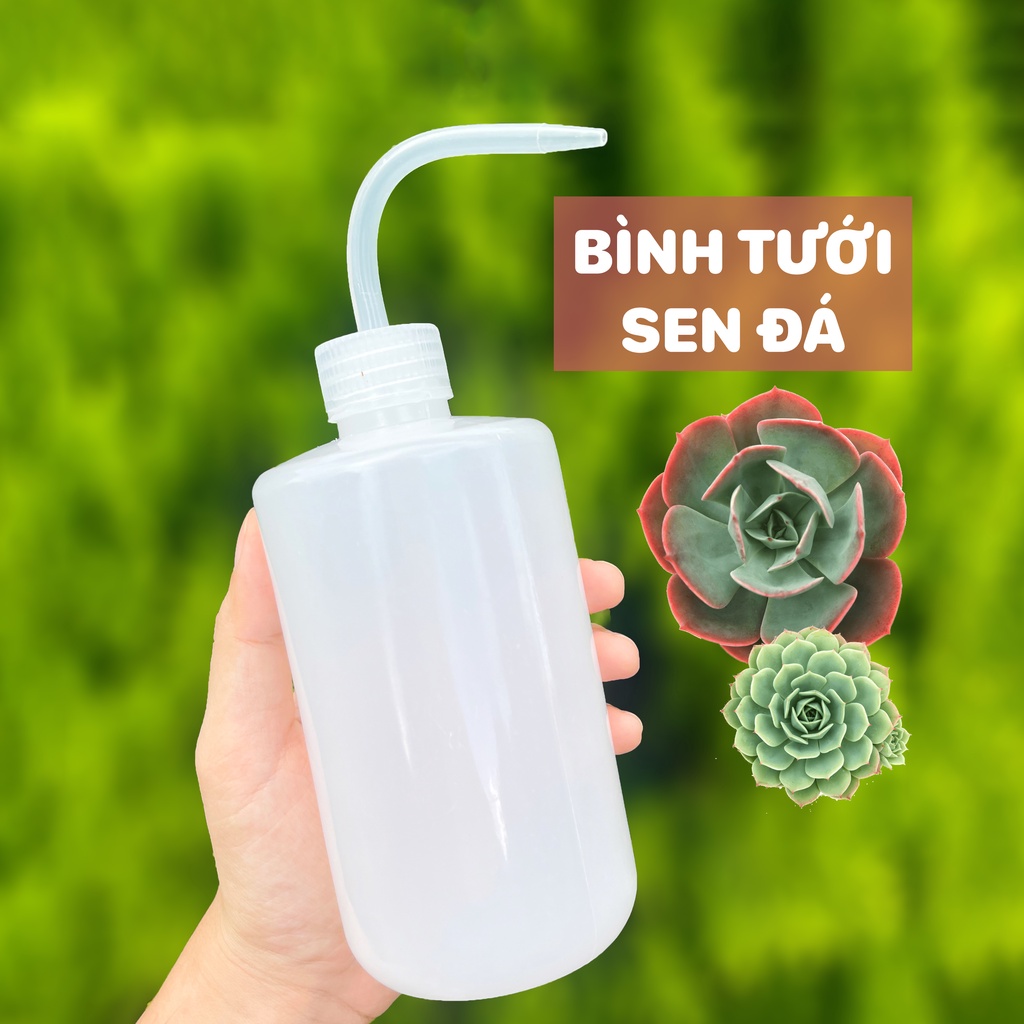 Bình tưới vòi cong 250ml - Bình tưới sen đá