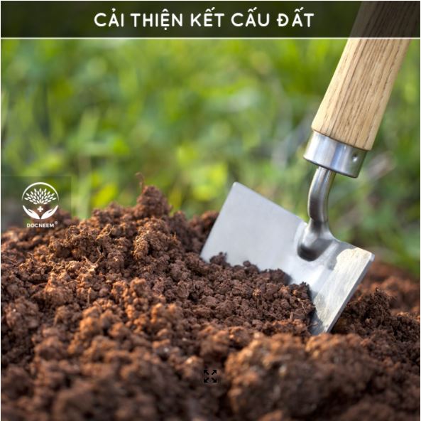 Bánh Dầu Neem (Neem cake) - phân bón hữu cơ dạng bột