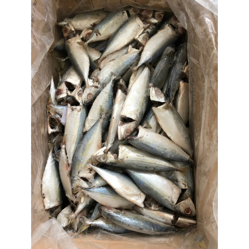 Cá bạc má đông lạnh - Khay 500Gr (Giao Tphcm)