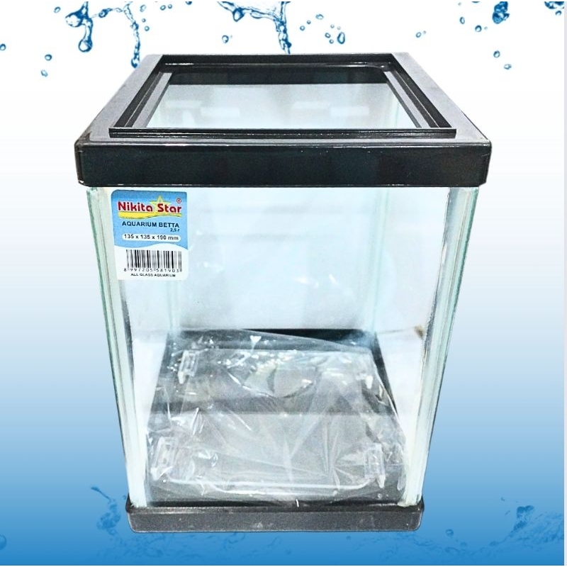 Aquarium Cupang channa NIKITA STAR BETTA SIZE 135 X 135 X 190 MM