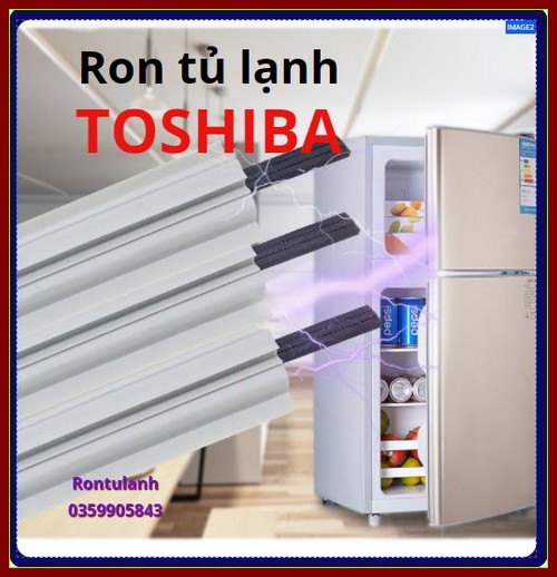 Ron cửa tủ lạnh Toshiba model GR-R23VPD