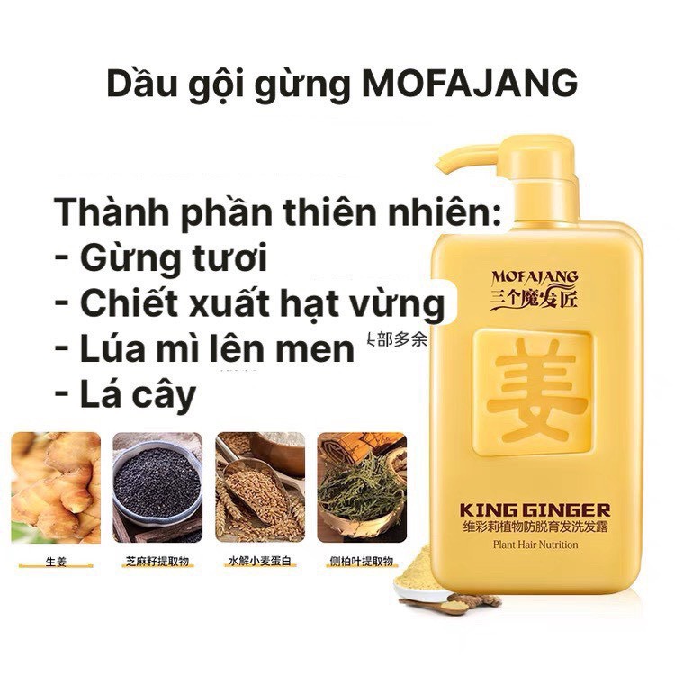 [GIẢM 5% ĐƠN 129K]Dầu gội gừng KING GINGER MOFAJANG