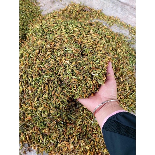 hoa đu đủ đực phơi khô
