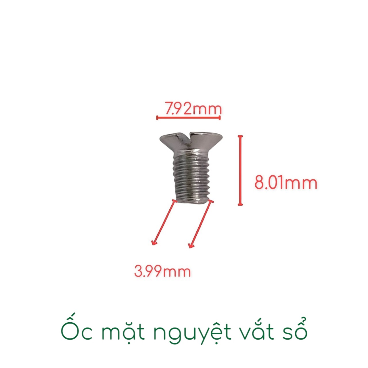 Ốc mặt nguyệt vắt sổ