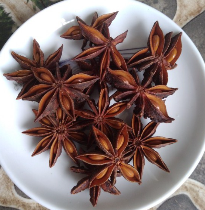Hoa Hồi Tứ Xuyên 100g [Gia Vị Khô]