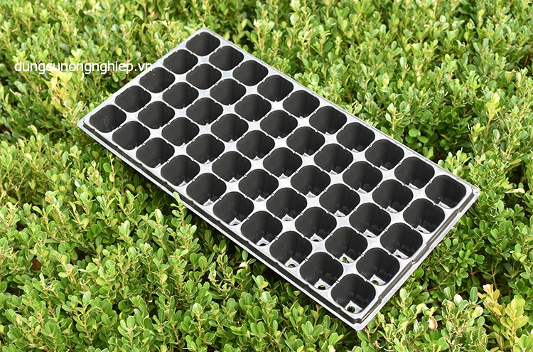 BỘ 5 KHAY ƯƠM HẠT GIỐNG 50 LỖ.