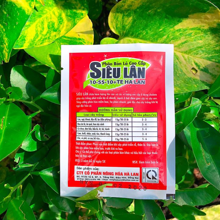 SIÊU LÂN HÀ LAN