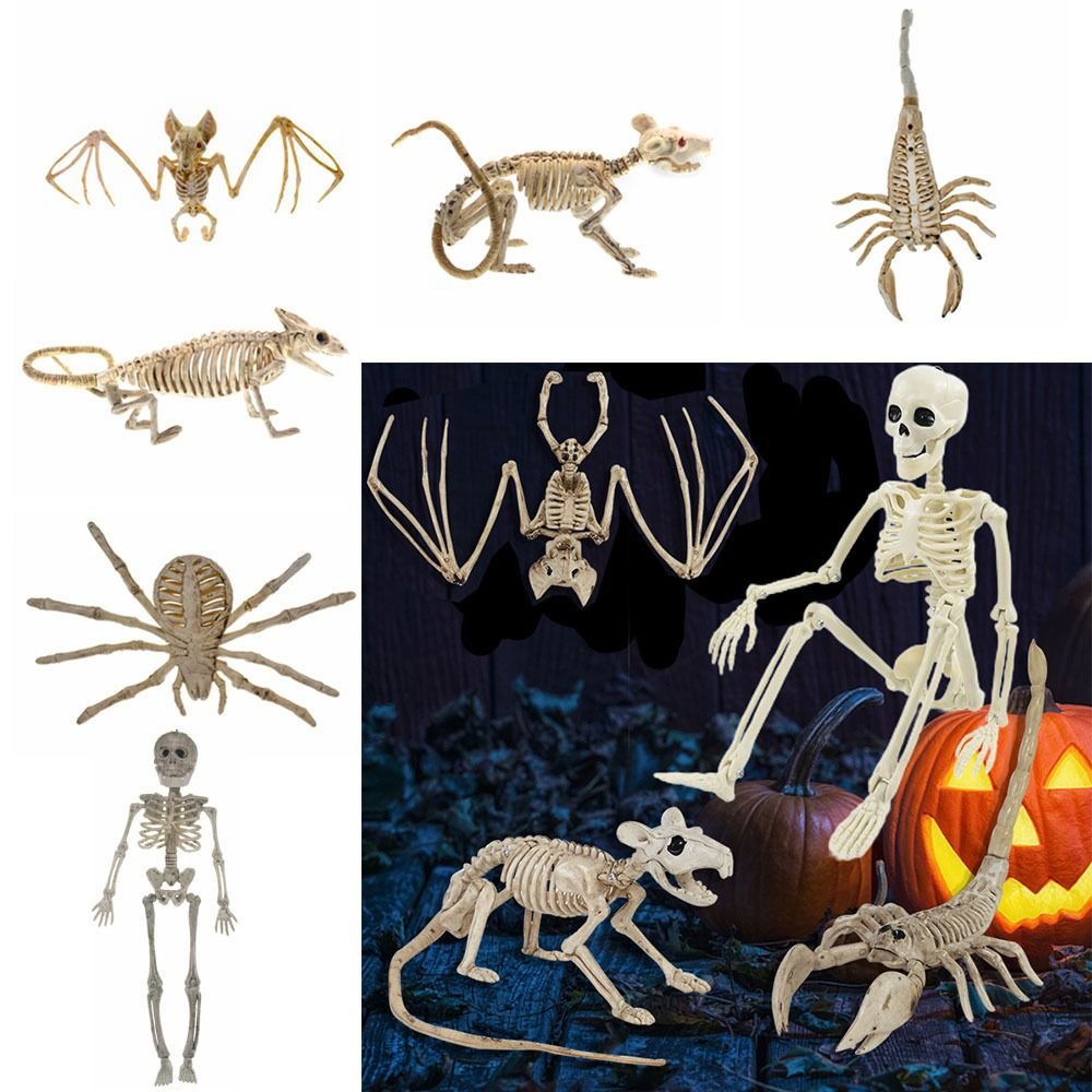 Mô hình nhựa bộ xương người dài 35cm, tỉ lệ 1:6, trang trí kinh dị,  halloween, chuồng bò sát, tiểu cảnh | Shopee Việt Nam
