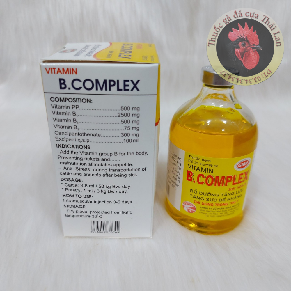 Vitamin B complex (bổ dưỡng tăng lực , tăng sức đề kháng) - 1 lọ / 100ml